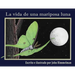 La vida de una mariposa luna