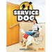 Service Dog