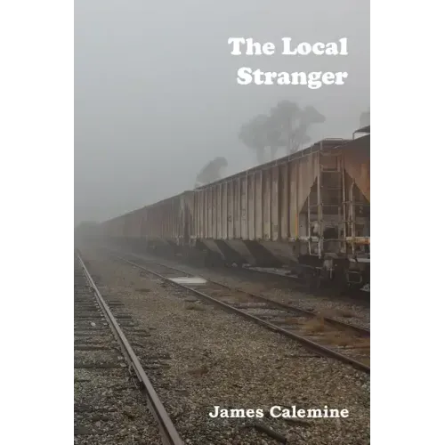 The Local Stranger: Short Stories