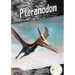 Pteranodon