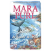 When Whales Watch: Milford-Haven Novella