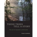 These Trees Tell a Story: The Art of Reading Landscapes
