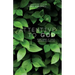 Attentive to God: Being Aware of God's Presence in Daily Life