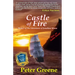 Castle of Fire: Book 2 of The Adventures of Jonathan Moore