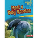 Meet a Baby Manatee