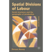 Spatial Divisions of Labour: Social Structures and the Geography of Production