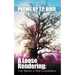 A Loose Rendering: Time, Memory, and Other Considerations: Memory