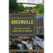 Reimagining Greenville: Building the Best Downtown in America
