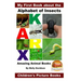 My First Book about the Alphabet of Insects - Amazing Animal Books - Children's Picture Books