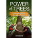 Power of Trees: How to Refill Your Energy in Nature