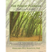The Forest Flaneur: Touch ... And Be Touched