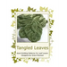 Tangled Leaves: Hand Knitting Patterns For Leaf Lovers