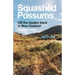 Squashed Possums: Off the beaten track in New Zealand