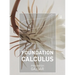 Foundation Calculus