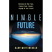 Nimble Future: Reinterpret Your Past, Protect Your Present, Engage in Your Future