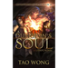 A Dungeon's Soul: Book 3 of the Adventures on Brad