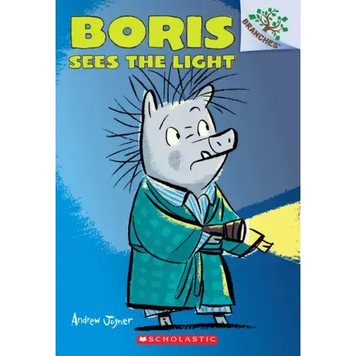 Boris Sees the Light: A Branches Book (Boris #4): Volume 4