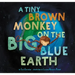 A Tiny Brown Monkey on the Big Blue Earth