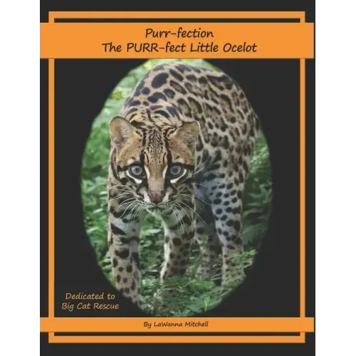 Purr-fection, the PURR-fect Little Ocelot