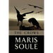 The Crows: P.J. Benson Mystery