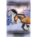 Winter of the Whinnies Brigade: A Wilderness Horse Adventure