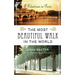 The Most Beautiful Walk in the World: A Pedestrian in Paris