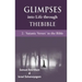 Glimpses into Life through The Bible: 2-Satanic verses in the Bible