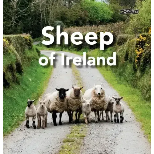 Sheep of Ireland