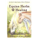 Equine Herbs & Healing: An Earth Lodge Guide to Horse Wellness
