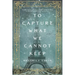 To Capture What We Cannot Keep