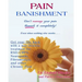 Pain Banishment. Don't Manage Your Pain. Banish It Completely! Even When Nothing Else Works...: A Non-Invasive Treatment For Rsd/Crps, Neuropathy, Fib