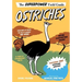 Ostriches