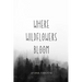 Where Wildflowers Bloom
