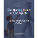 The Missing Piece of the Puzzle: A Boy Without His Father