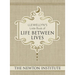 Llewellyn's Little Book of Life Between Lives