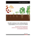 Possible solutions to low yield production of groundnut (Arachis hypogea) in Africa