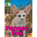 Fennec Fox