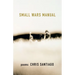 Small Wars Manual: Poems