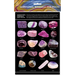 Gemstones, Minerals & Rocks - Id Chart