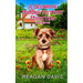 A Bellbrook Murder Mystery Collection Books 1-3: A Bellbrook Murder Mystery Series