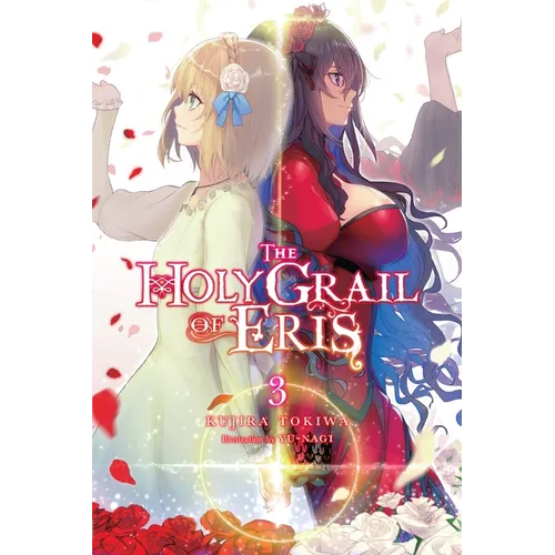 The Holy Grail of Eris, Vol. 3 (Light Novel)