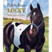 Call the Horse Lucky