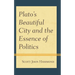 Plato's Beautiful City and the Essence of Politics