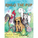 Ringo The Pup
