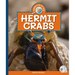 Hermit Crabs