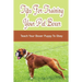 Tips For Training Your Pet Boxer: Teach Your Boxer Puppy To Obey: The Boxer'S Temperament