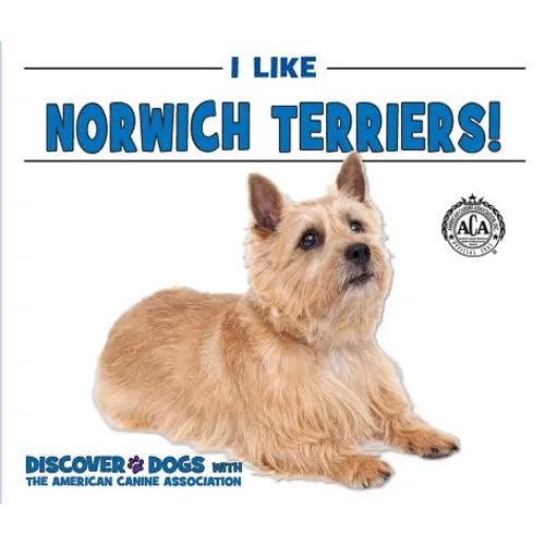I Like Norwich Terriers!