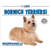 I Like Norwich Terriers!