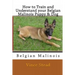 How to Train and Understand Your Belgian Malinois Puppy & Dog
