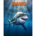 Sharks: Fun Facts Book for Kids with Amazing Photos